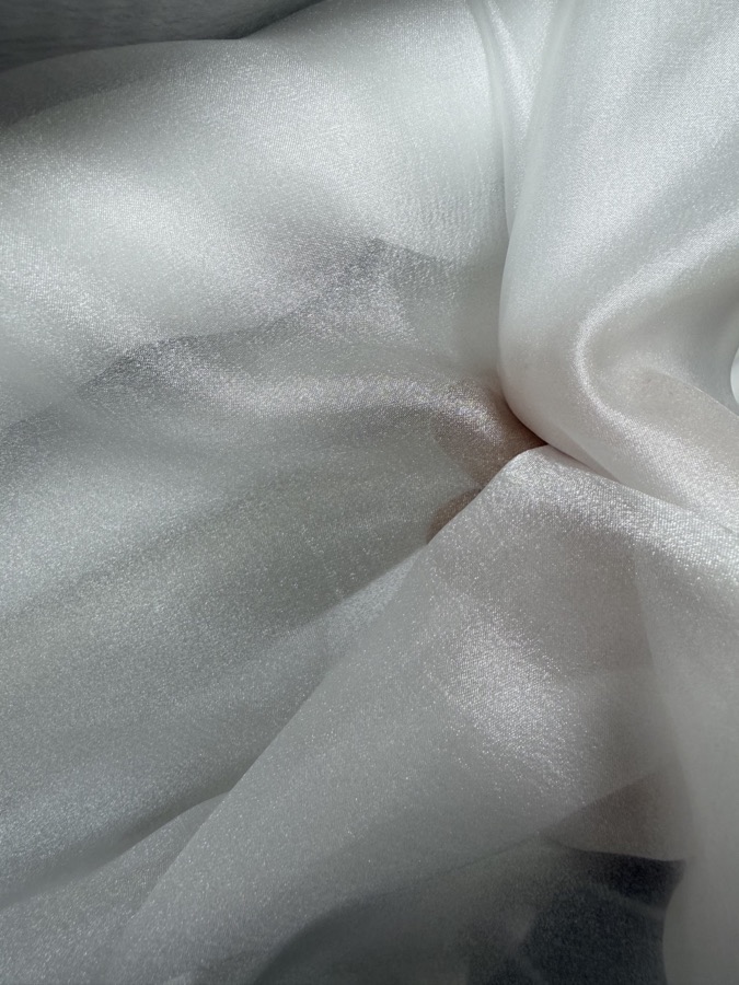 Fine Lustrous Organza fabric sample